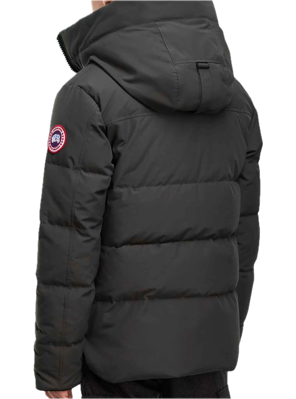 Canada Goose Macmillan Grey Jacket Red Badge
